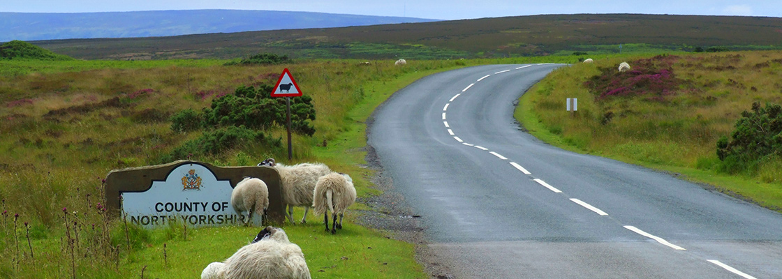 Welcome to Yorkshire